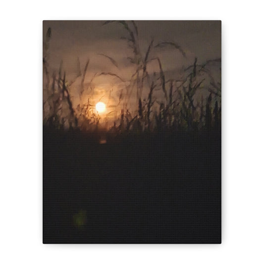 Canvas Art Moon Rise