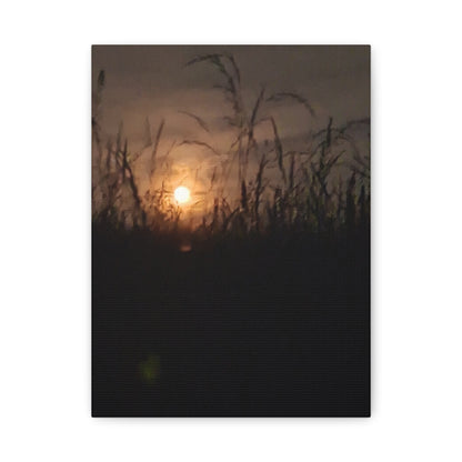Canvas Art Moon Rise