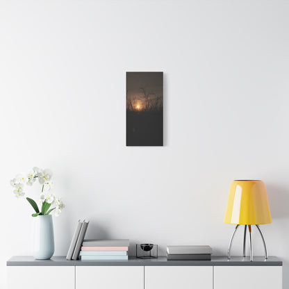 Canvas Art Moon Rise