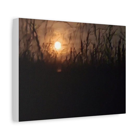 Canvas Art Moon Rise