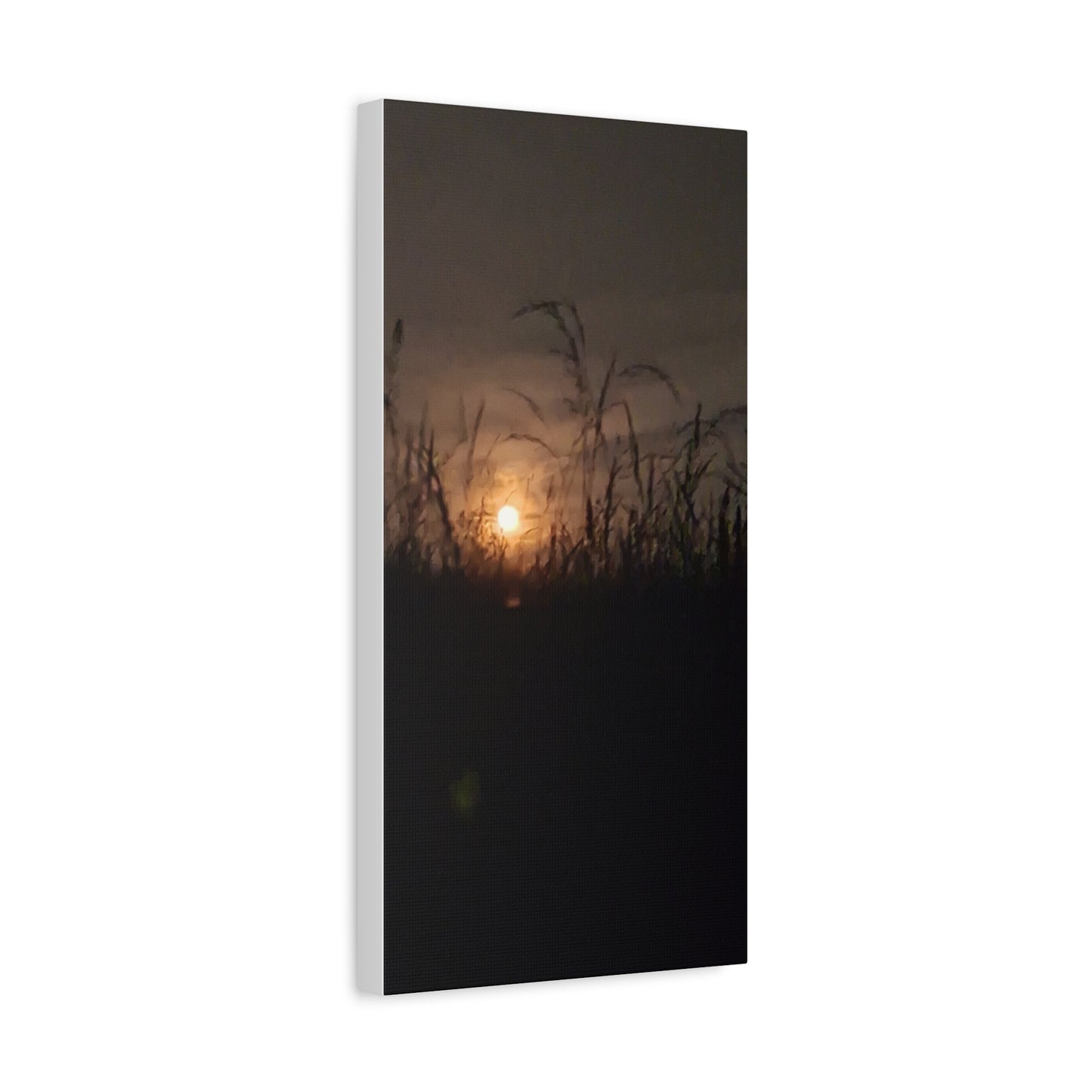 Canvas Art Moon Rise