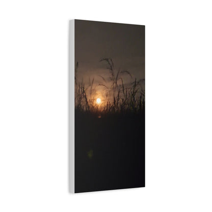 Canvas Art Moon Rise
