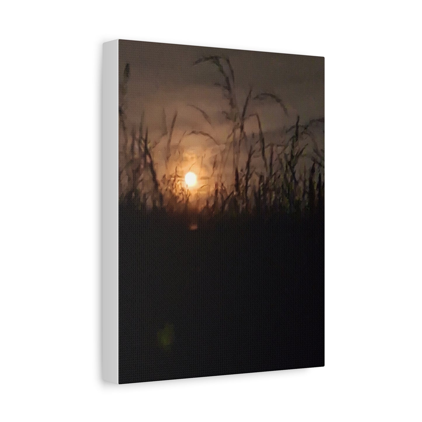 Canvas Art Moon Rise