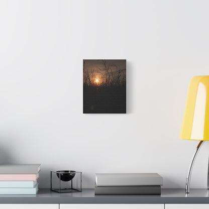 Canvas Art Moon Rise